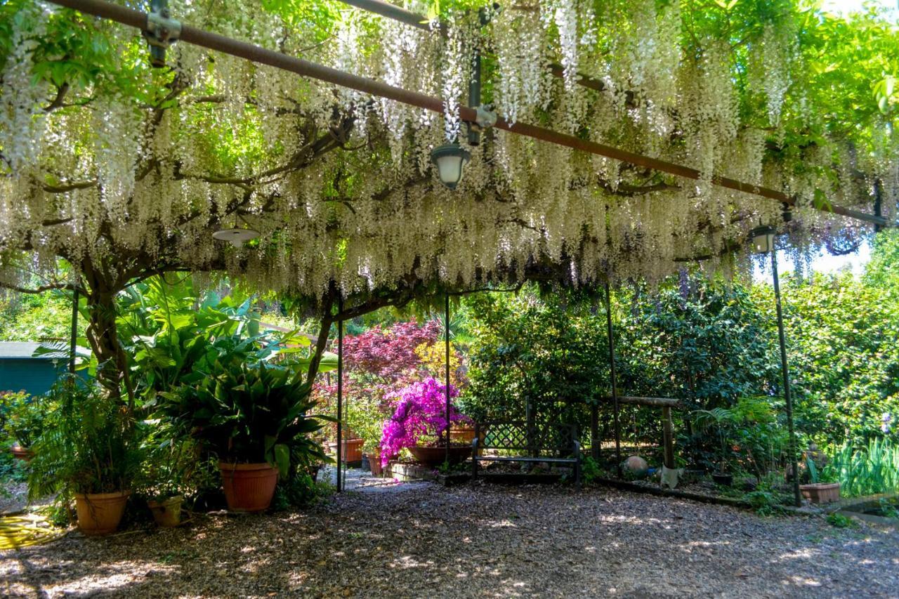B&B Al Mare Sorrento Eksteriør bilde
